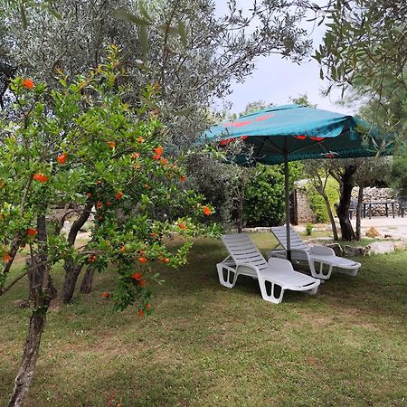 Апартаменты Marti'S House In The Olive Grove Фажана Экстерьер фото