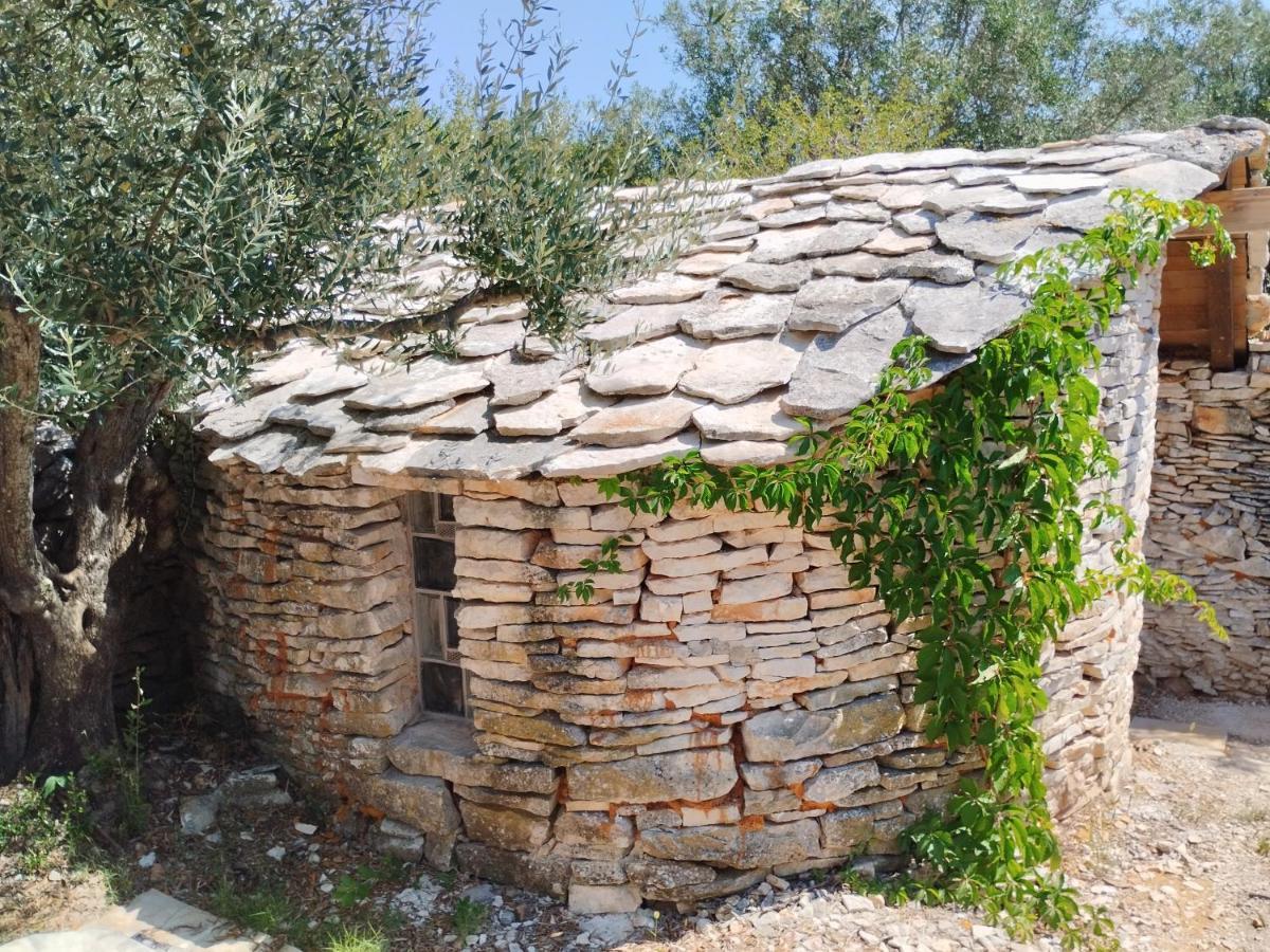 Апартаменты Marti'S House In The Olive Grove Фажана Экстерьер фото