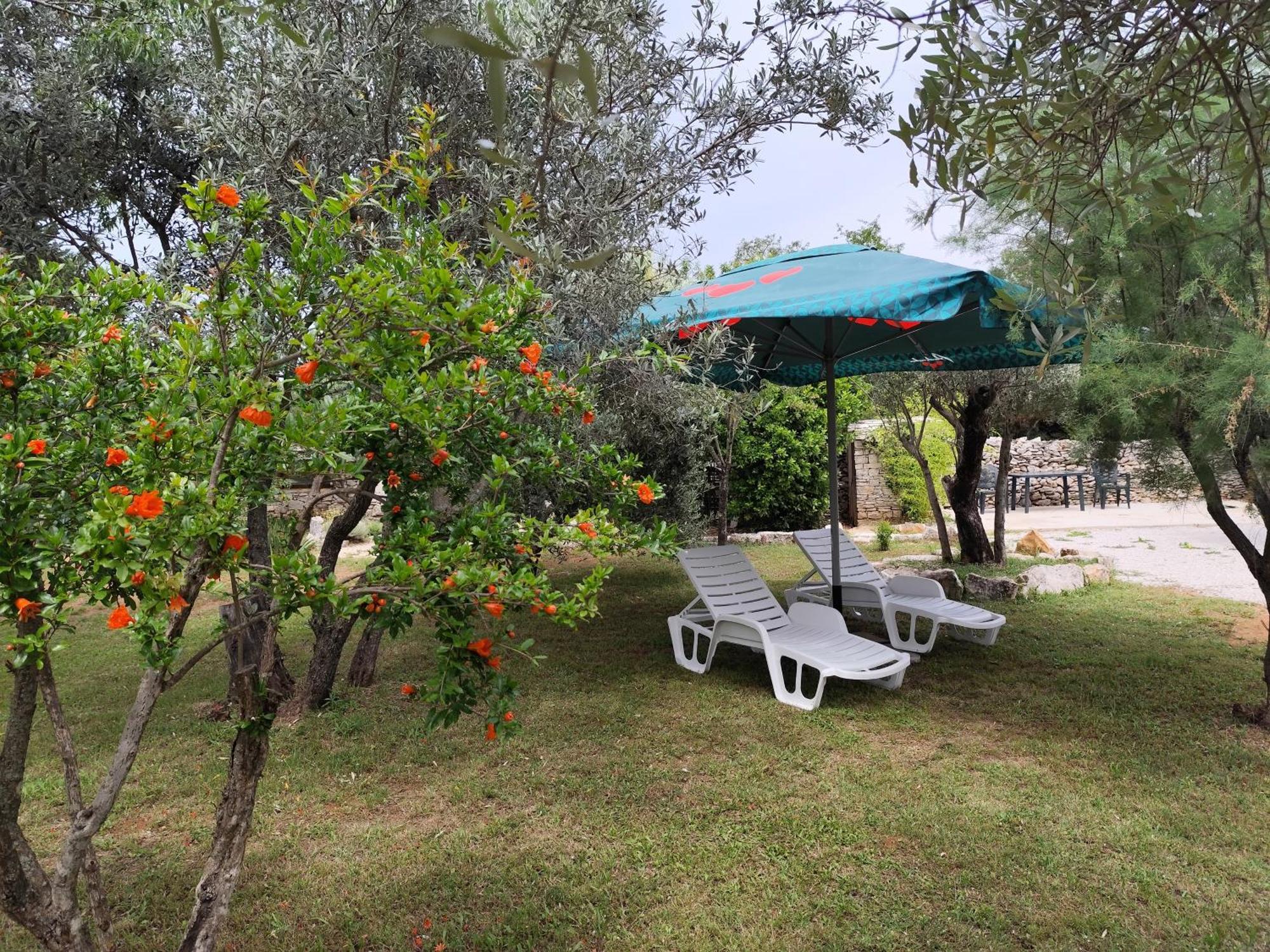 Апартаменты Marti'S House In The Olive Grove Фажана Экстерьер фото