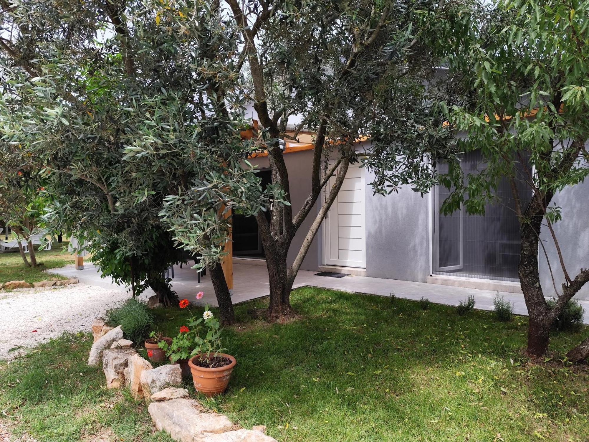 Апартаменты Marti'S House In The Olive Grove Фажана Экстерьер фото