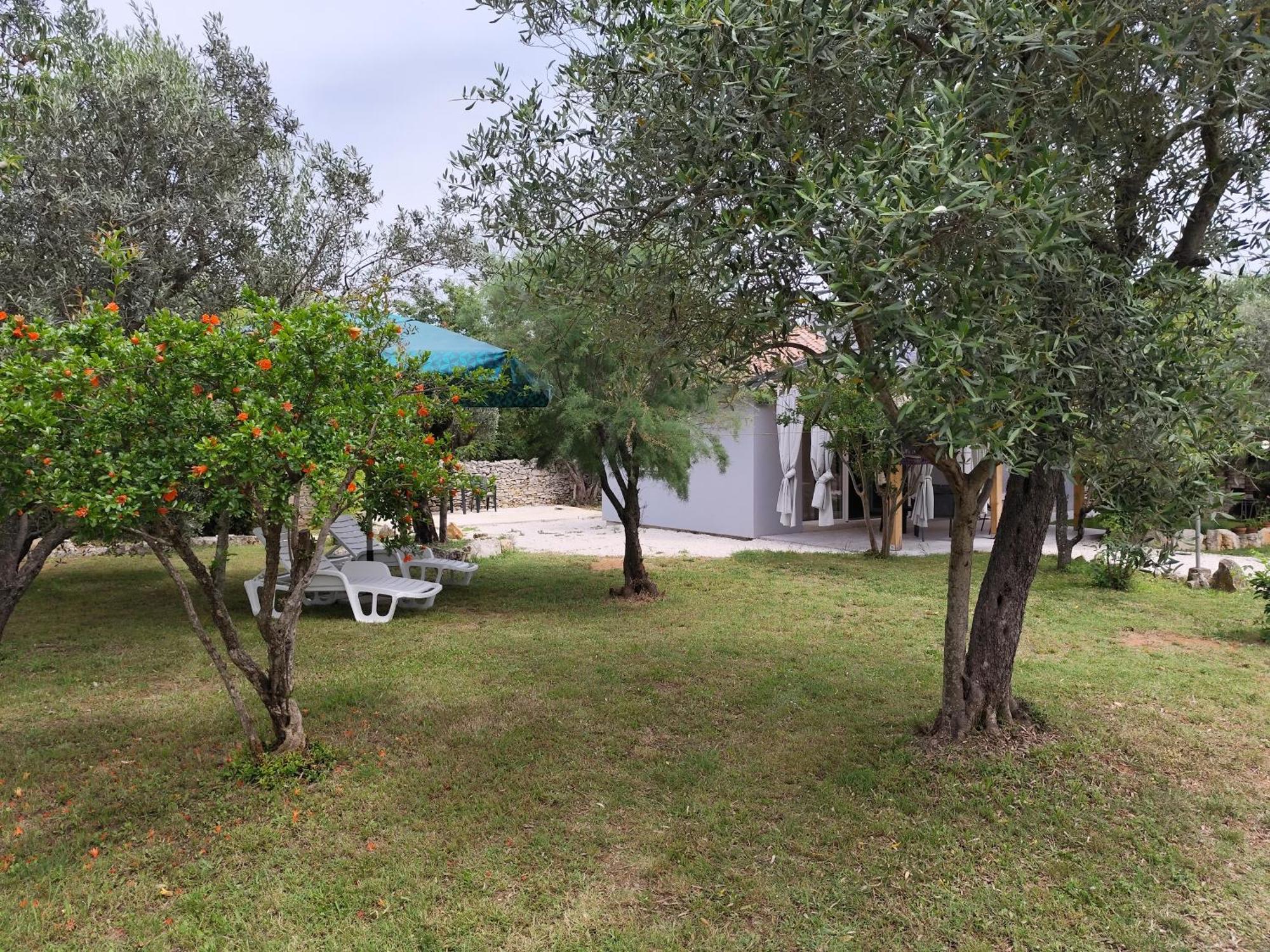 Апартаменты Marti'S House In The Olive Grove Фажана Экстерьер фото
